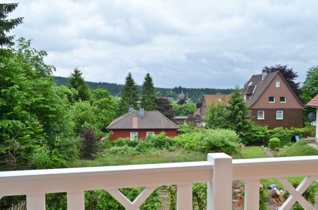 Ferienblockhaus Auerhahn & Luchs Villa Goslar Exteriör bild