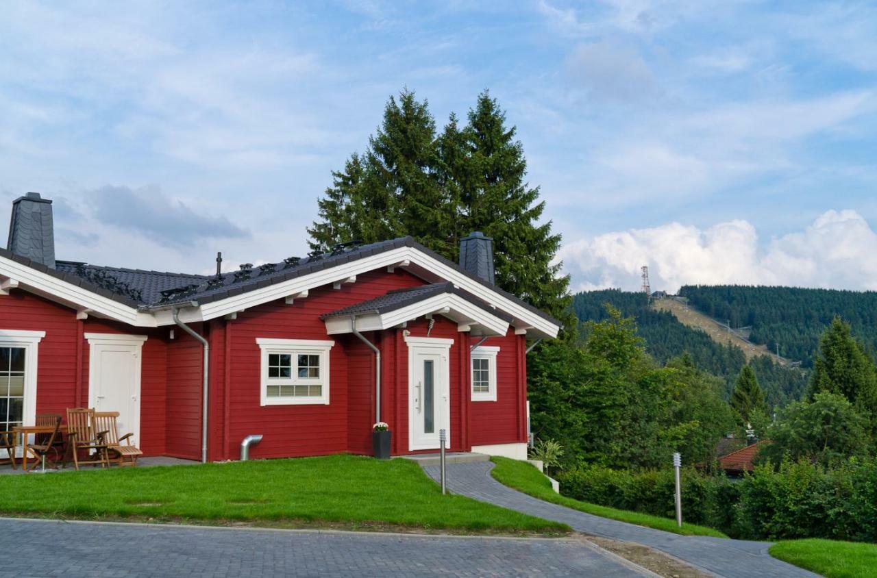 Ferienblockhaus Auerhahn & Luchs Villa Goslar Exteriör bild